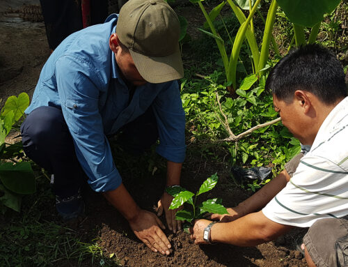 Case : Coffee Impact Programme
